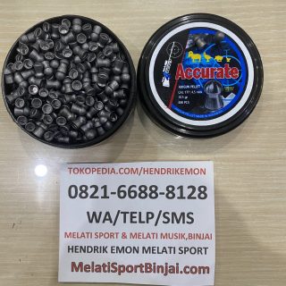 Accurate 10.5 gr isi 400